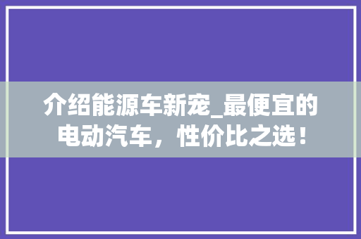 介绍能源车新宠_最便宜的电动汽车，性价比之选！