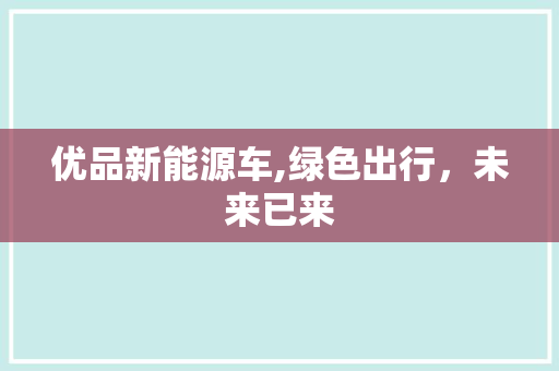 优品新能源车,绿色出行，未来已来