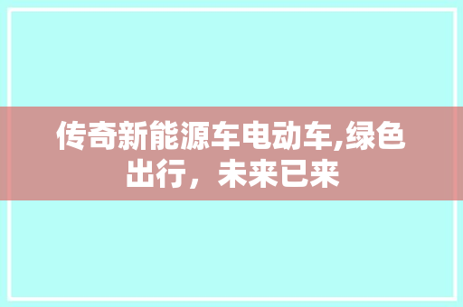 传奇新能源车电动车,绿色出行，未来已来