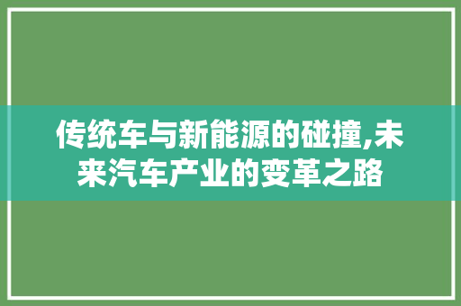传统车与新能源的碰撞,未来汽车产业的变革之路