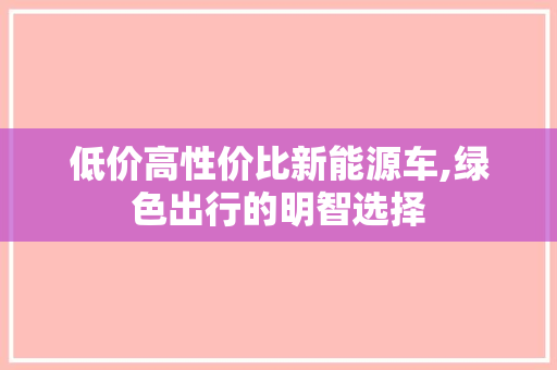 低价高性价比新能源车,绿色出行的明智选择