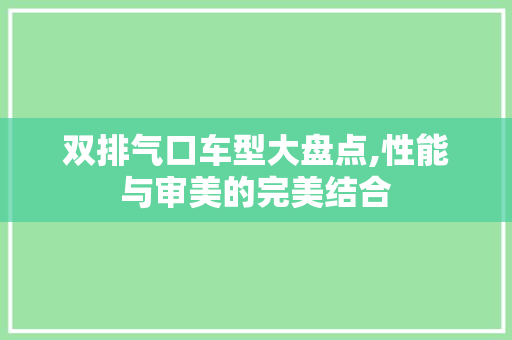 双排气口车型大盘点,性能与审美的完美结合