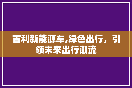 吉利新能源车,绿色出行，引领未来出行潮流