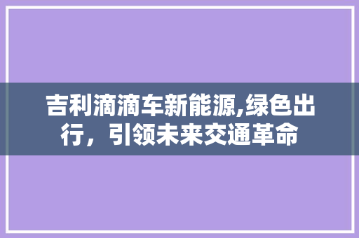 吉利滴滴车新能源,绿色出行，引领未来交通革命