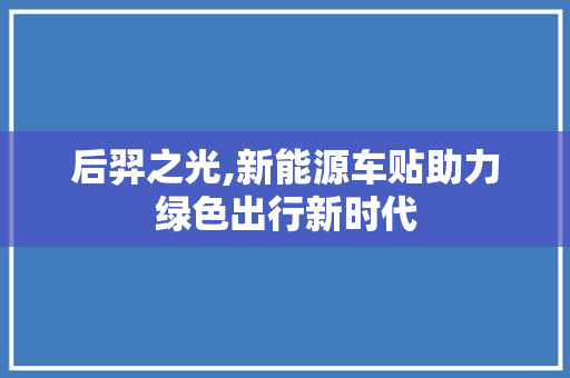 后羿之光,新能源车贴助力绿色出行新时代