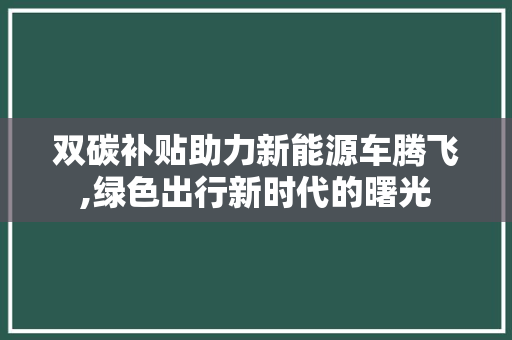 双碳补贴助力新能源车腾飞,绿色出行新时代的曙光