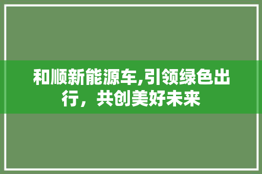 和顺新能源车,引领绿色出行，共创美好未来