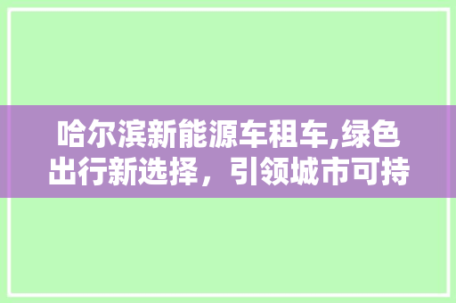 哈尔滨新能源车租车,绿色出行新选择，引领城市可持续发展