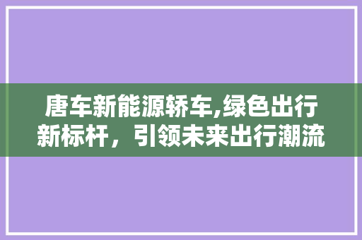 唐车新能源轿车,绿色出行新标杆，引领未来出行潮流