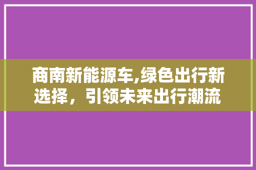 商南新能源车,绿色出行新选择，引领未来出行潮流