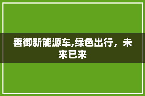 善御新能源车,绿色出行，未来已来