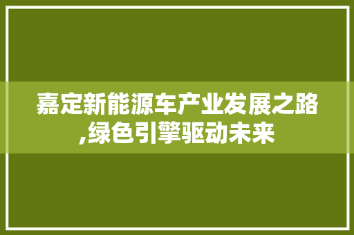 嘉定新能源车产业发展之路,绿色引擎驱动未来