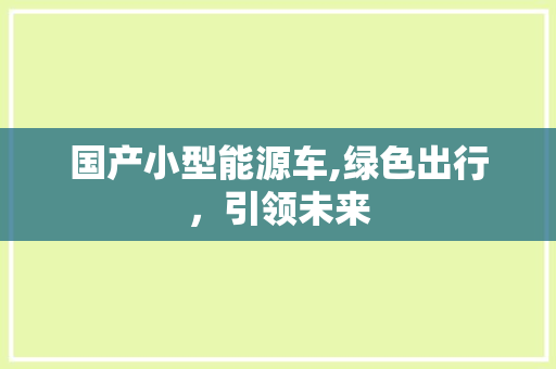 国产小型能源车,绿色出行，引领未来