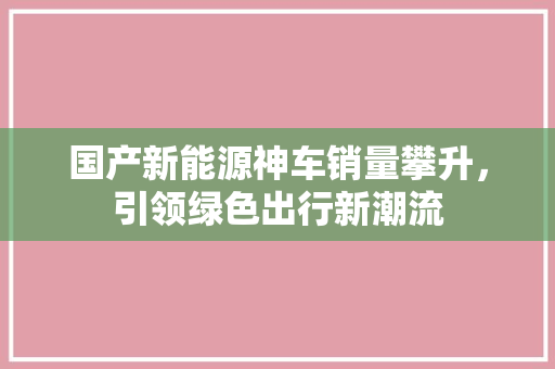 国产新能源神车销量攀升，引领绿色出行新潮流