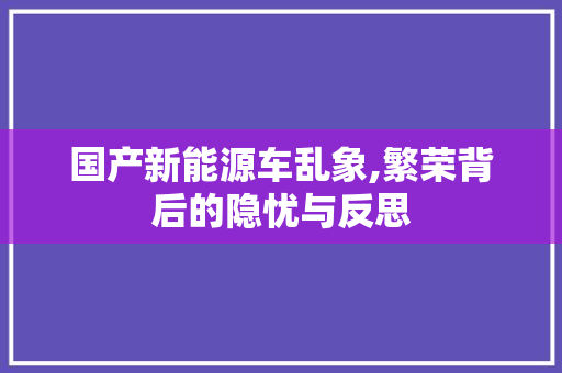 国产新能源车乱象,繁荣背后的隐忧与反思