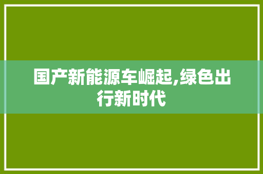 国产新能源车崛起,绿色出行新时代