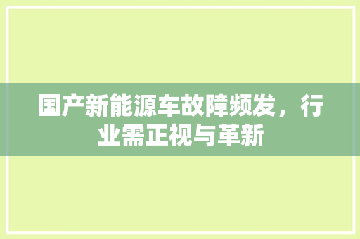 国产新能源车故障频发，行业需正视与革新