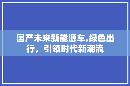 国产未来新能源车,绿色出行，引领时代新潮流
