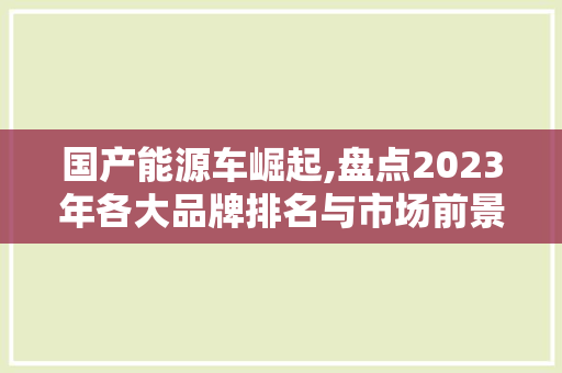 国产能源车崛起,盘点2023年各大品牌排名与市场前景