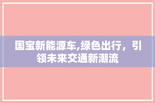 国宝新能源车,绿色出行，引领未来交通新潮流