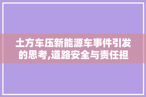 土方车压新能源车事件引发的思考,道路安全与责任担当