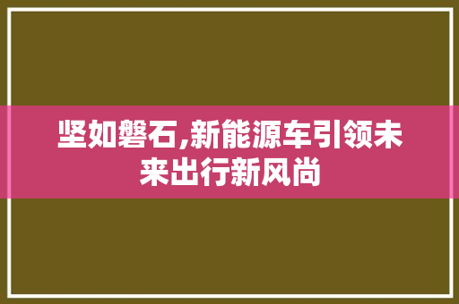 坚如磐石,新能源车引领未来出行新风尚