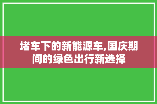 堵车下的新能源车,国庆期间的绿色出行新选择