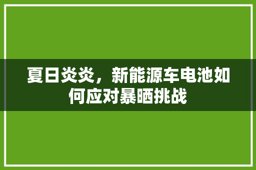 夏日炎炎，新能源车电池如何应对暴晒挑战