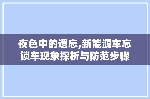 夜色中的遗忘,新能源车忘锁车现象探析与防范步骤
