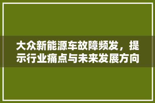大众新能源车故障频发，提示行业痛点与未来发展方向