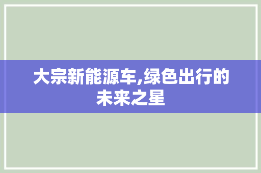 大宗新能源车,绿色出行的未来之星