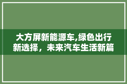 大方屏新能源车,绿色出行新选择，未来汽车生活新篇章