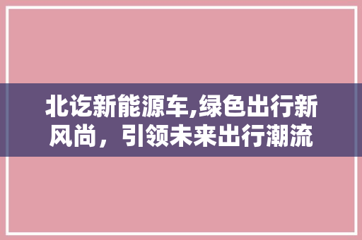 北讫新能源车,绿色出行新风尚，引领未来出行潮流