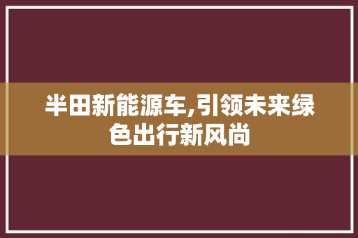 半田新能源车,引领未来绿色出行新风尚
