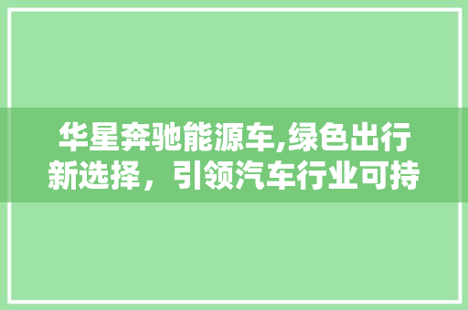 华星奔驰能源车,绿色出行新选择，引领汽车行业可持续发展