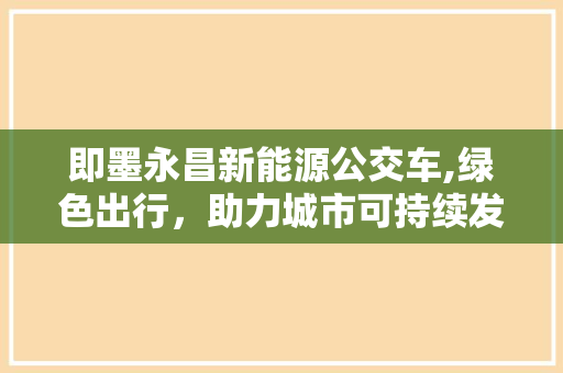 即墨永昌新能源公交车,绿色出行，助力城市可持续发展