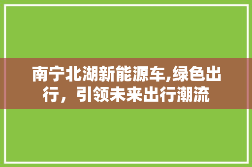 南宁北湖新能源车,绿色出行，引领未来出行潮流