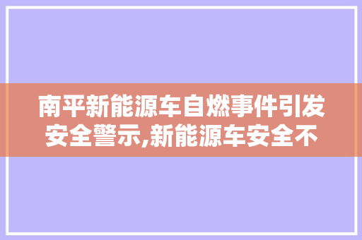 南平新能源车自燃事件引发安全警示,新能源车安全不容忽视