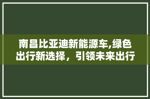 南昌比亚迪新能源车,绿色出行新选择，引领未来出行潮流
