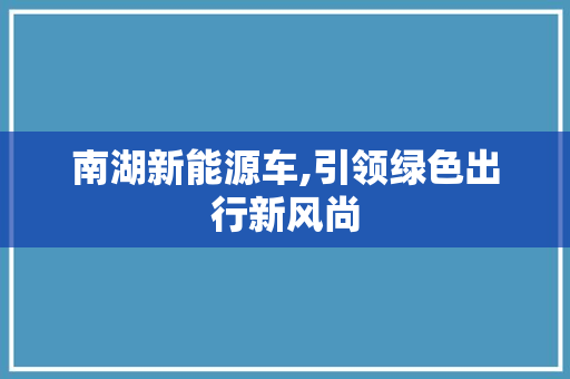 南湖新能源车,引领绿色出行新风尚