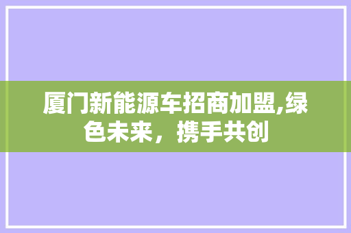 厦门新能源车招商加盟,绿色未来，携手共创