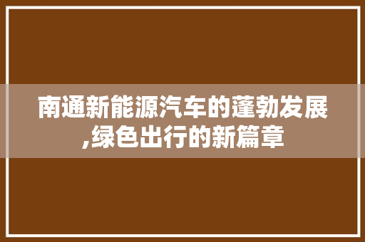 南通新能源汽车的蓬勃发展,绿色出行的新篇章