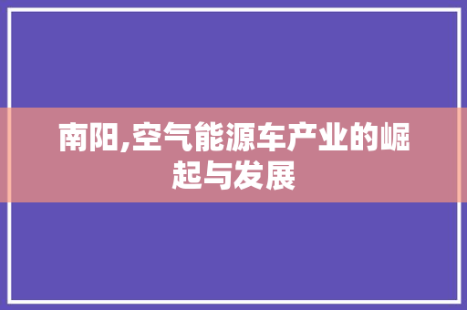 南阳,空气能源车产业的崛起与发展