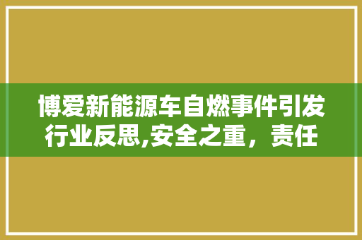 博爱新能源车自燃事件引发行业反思,安全之重，责任之责