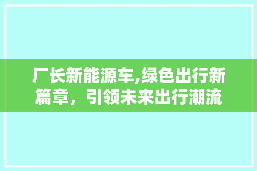 厂长新能源车,绿色出行新篇章，引领未来出行潮流