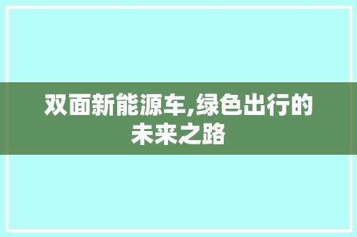 双面新能源车,绿色出行的未来之路