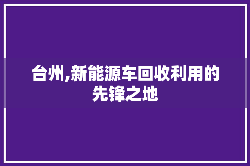 台州,新能源车回收利用的先锋之地