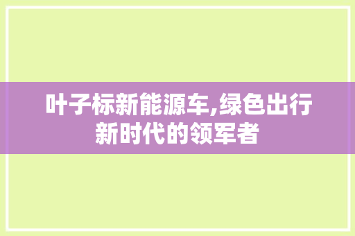 叶子标新能源车,绿色出行新时代的领军者