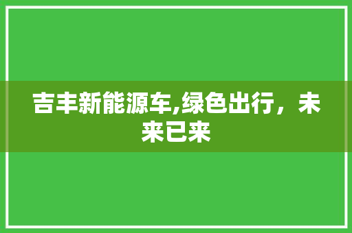 吉丰新能源车,绿色出行，未来已来