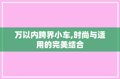 万以内跨界小车,时尚与适用的完美结合